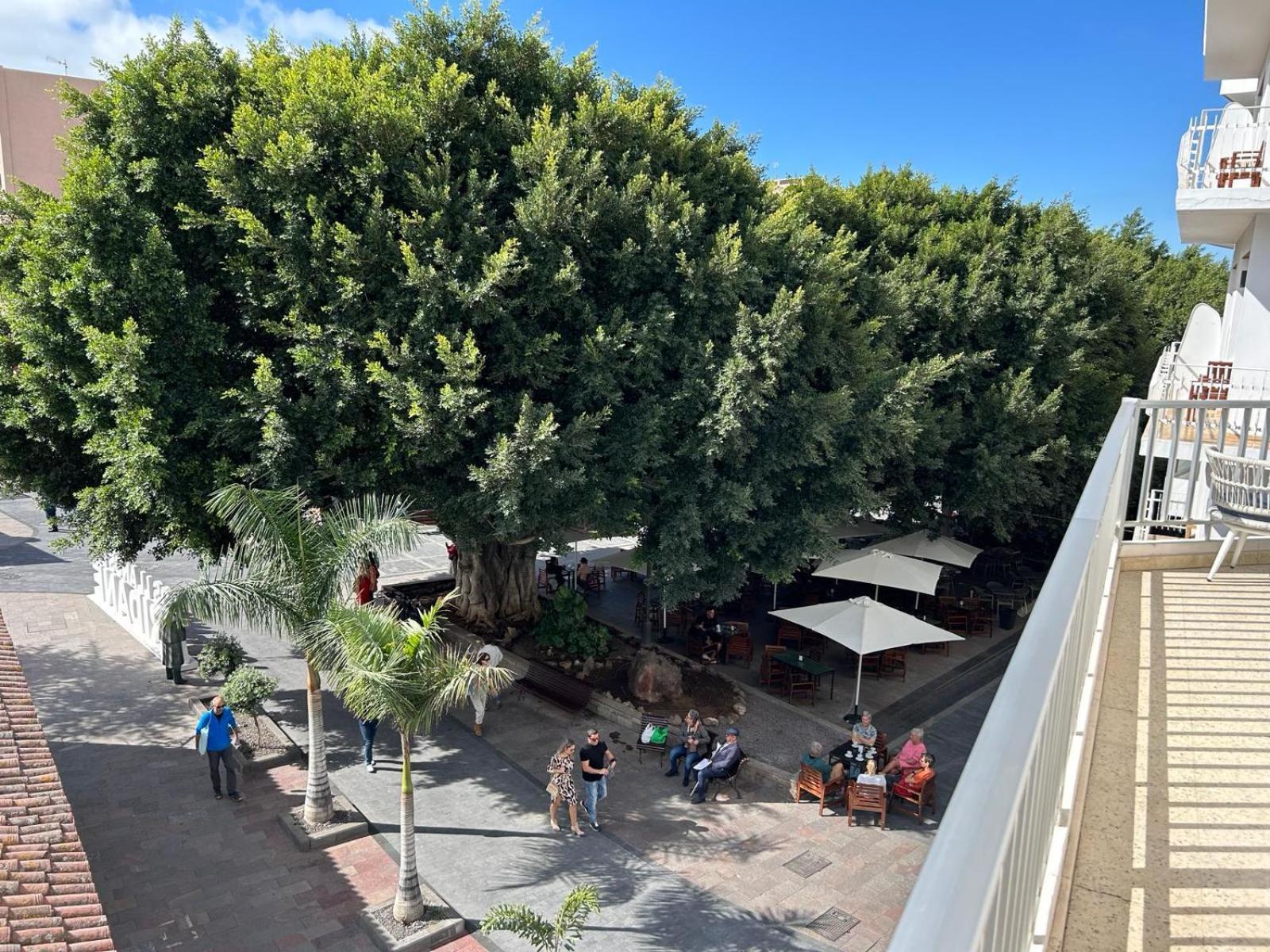Vista Plaza - Exceptional Location Appartement Los Llanos De Aridane Buitenkant foto
